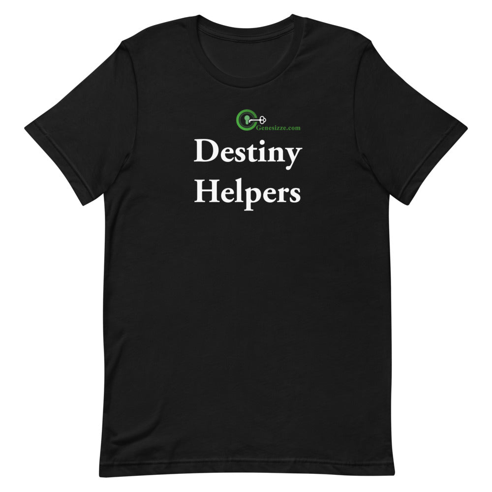 Destiny Helpers t-shirt