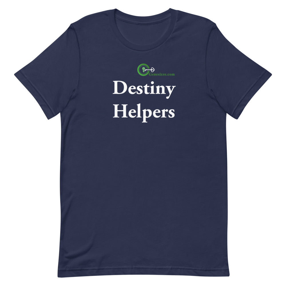 Destiny Helpers t-shirt