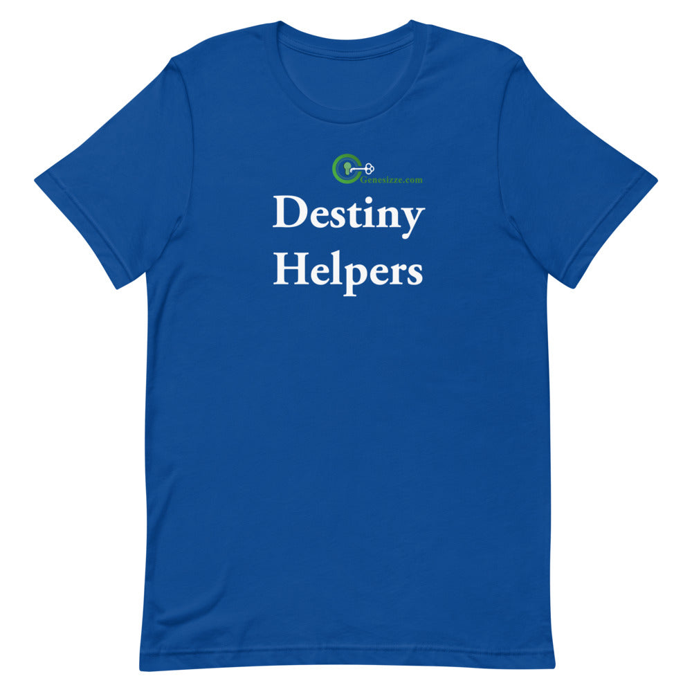 Destiny Helpers t-shirt