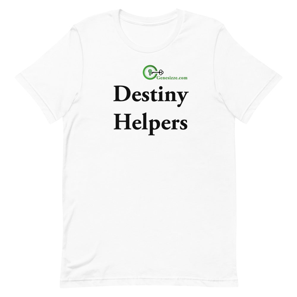 Destiny Helpers t-shirt